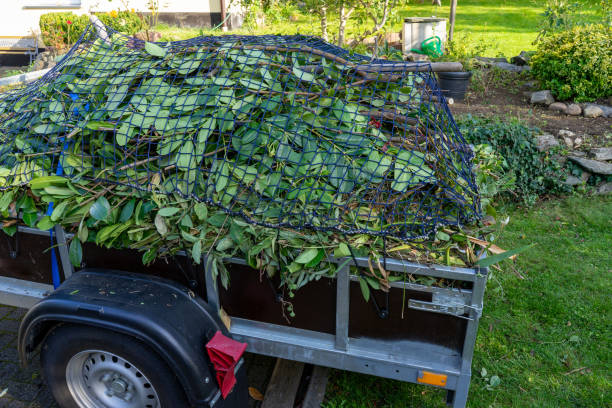 Professional Junk Removal Services in Gardner, KS